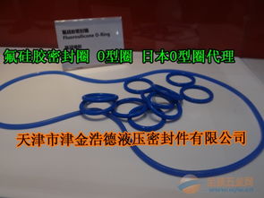 氟硅胶o型圈天津现货,fvmq氟硅胶o型圈蓝色氟胶密封圈批发