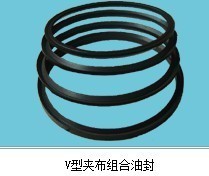 【【氟胶密封圈】V型夹布氟胶密封圈 密封件批发】价格,厂家,图片,密封圈,郑州市二七区万顺橡塑制品经营部-