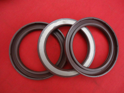 【供应主轴油封、丁氢油封、氟胶油封,骨架油封,轴头油封、计量泵】价格,厂家,图片,泵配件,广州市仁天机电技术-