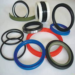 高压釜密封圈
