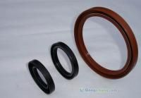 氟胶油封,丁腈油封,密封件,密封圈,骨架油封-邢台环宇密封件厂