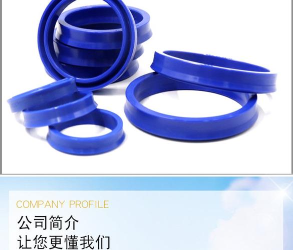 华奇工厂耐磨密封圈o型蓝色氟胶橡胶idu高压odu非标规格骨架油封