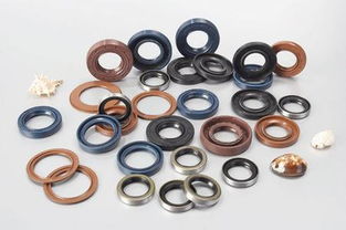 机械油封与氟胶密封圈的全面解析 生产厂家与价格指南